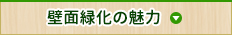 壁面緑化の魅力