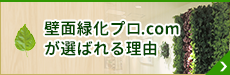 壁面緑化プロ.comのこだわり