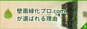 壁面緑化プロ.comのこだわり