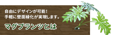 自由にデザインが可能！手軽に壁面緑化が実現します。マグプランツとは