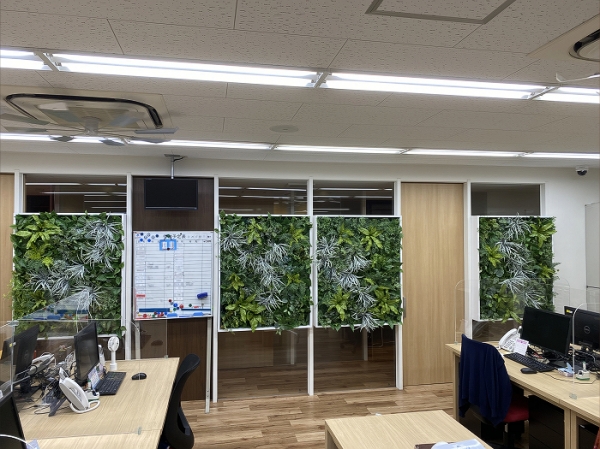 福岡市南区オフィス内壁面緑化