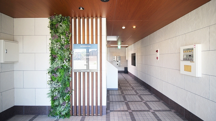 ビルのエントランスの壁面緑化