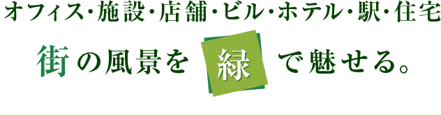 壁面緑化プロ Com 九州福岡を中心に壁面緑化 イルミネーション装飾を行う施工会社